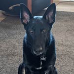 Loki
